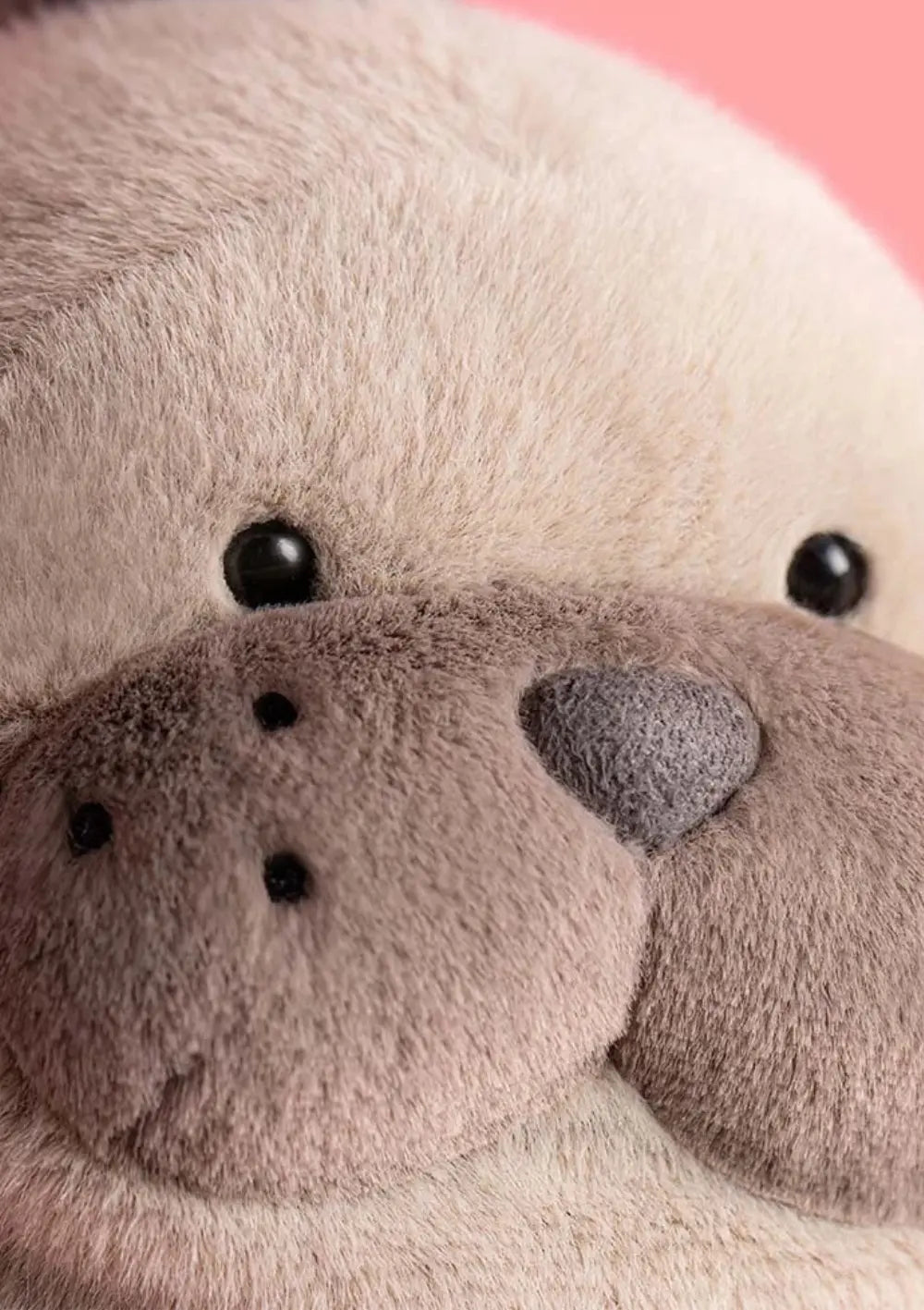 Jellycat Seelöwe Kuscheltier 'Roarwell Sea Lion'