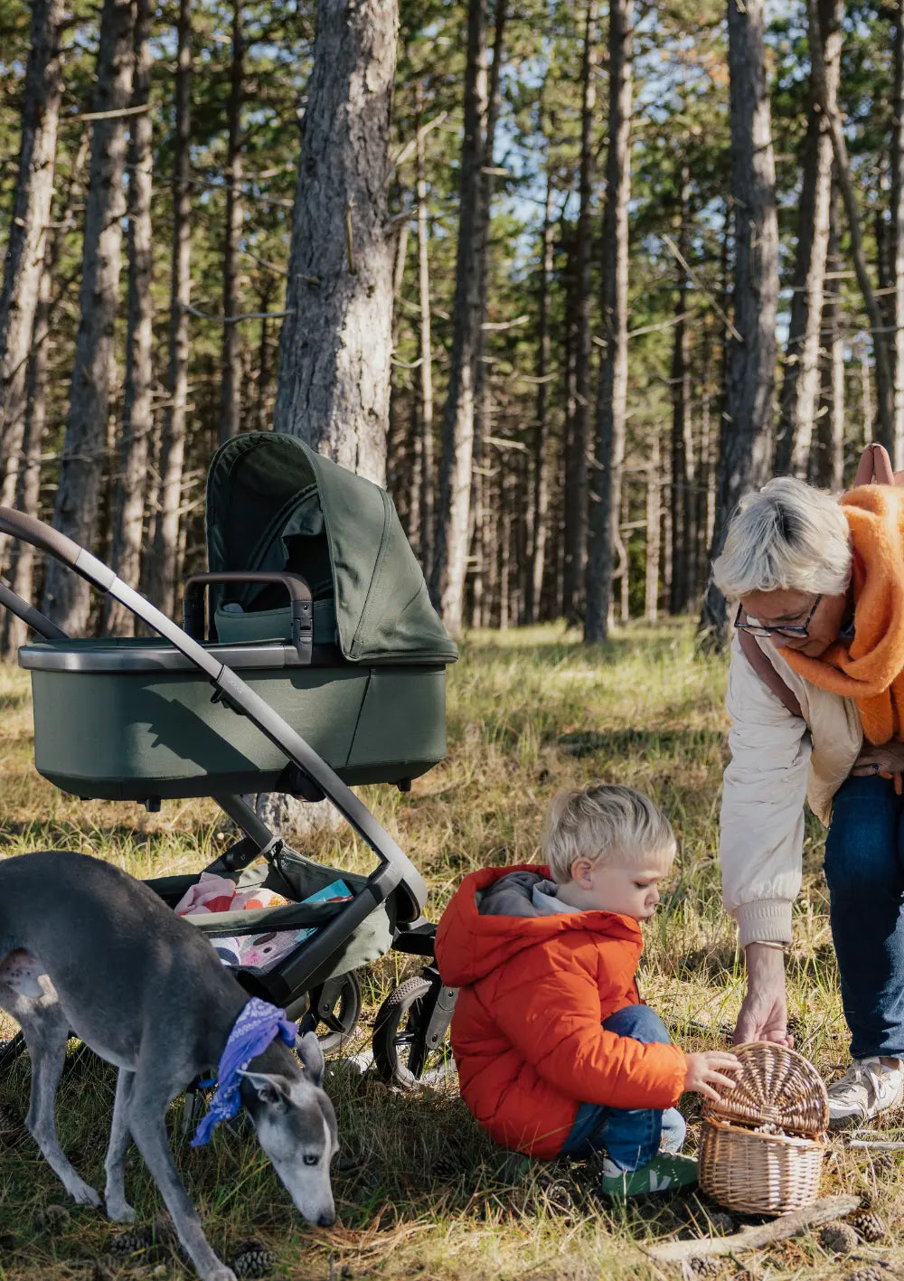 Frau und Kind mit Hund beim Sammeln im Wald – im Hintergrund: Joolz Kinderwagen-Set 'Geo5' Single Forest Green