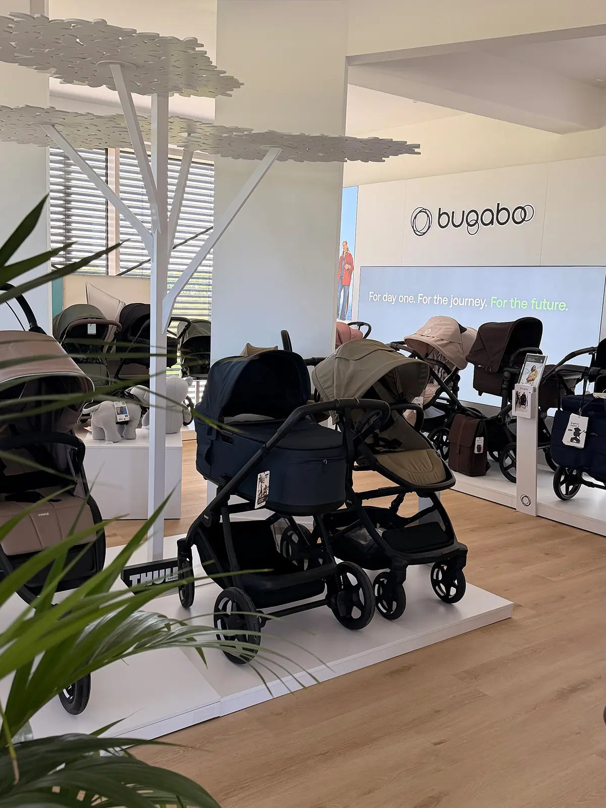 Kinderwagen bei KIND DER STADT München - Bugaboo, Thule, Joolz, Nuna, Maxi-Cosi